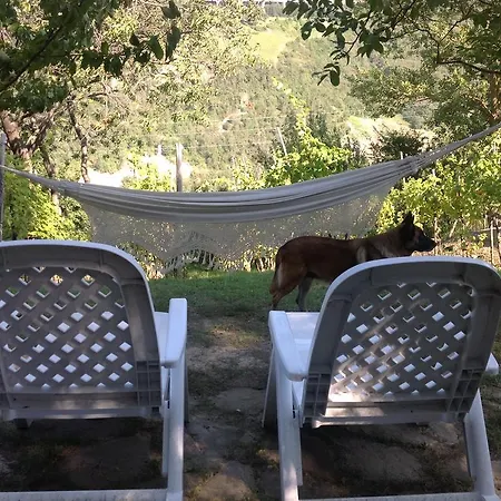 Bed and Breakfast Bosco Dei Cervi Grizzana