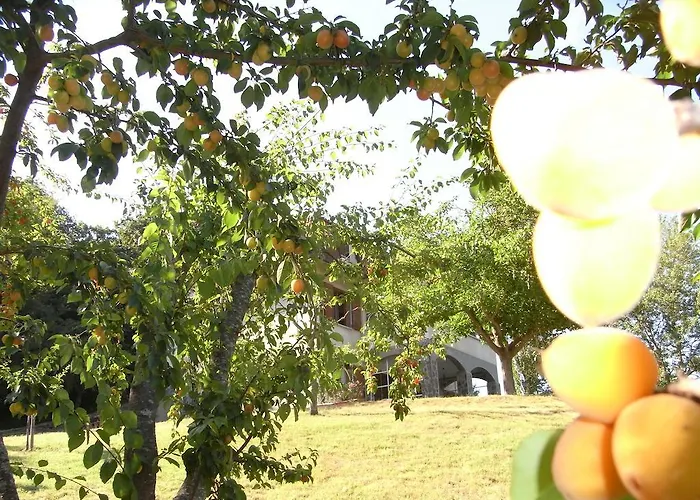 Bosco Dei Cervi Grizzana